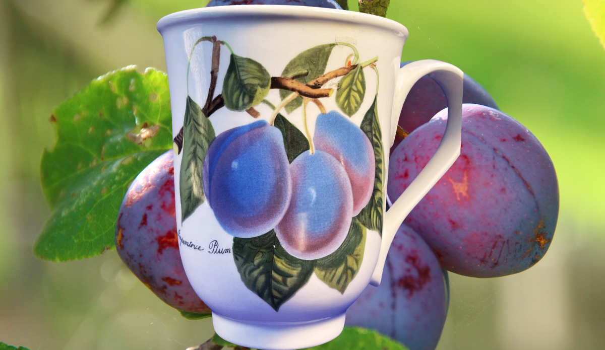 Portmeirion Pomona plum mug displayed against ripe purple plums growing on a tree