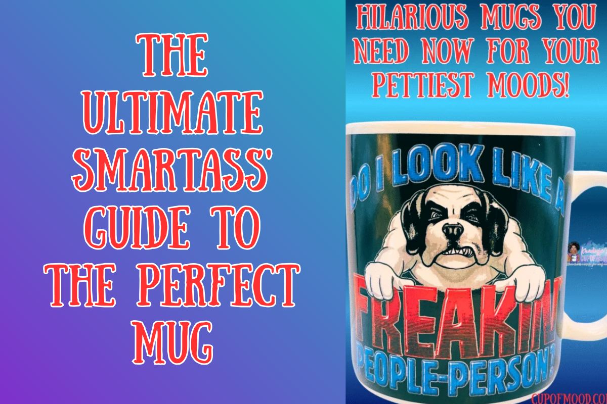 petty mugs with sarcastic humor featured in pettiest moods blog