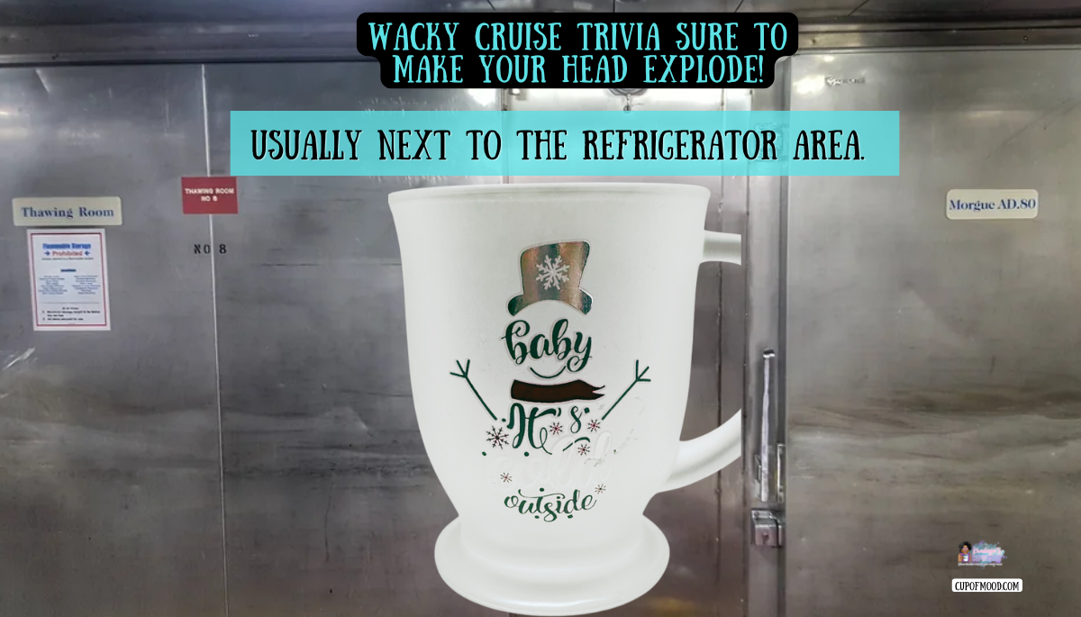 cruise ship morgue located near refrigerator storage area below deck