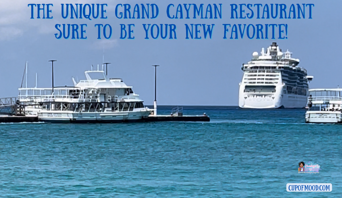 cruise ships near Grand Cayman cruise port ocean view