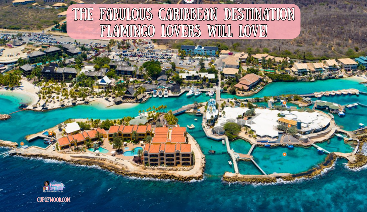 curacao sea aquarium open water system lagoon aerial marine park curacao
