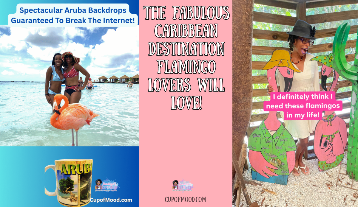 flamingo beach Aruba photo with Caribbean drinkware and fun flamingo themed travel moments