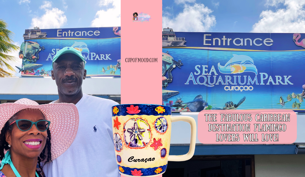 khadeeja and michael at curacao sea aquarium entrance sea aquarium park curacao