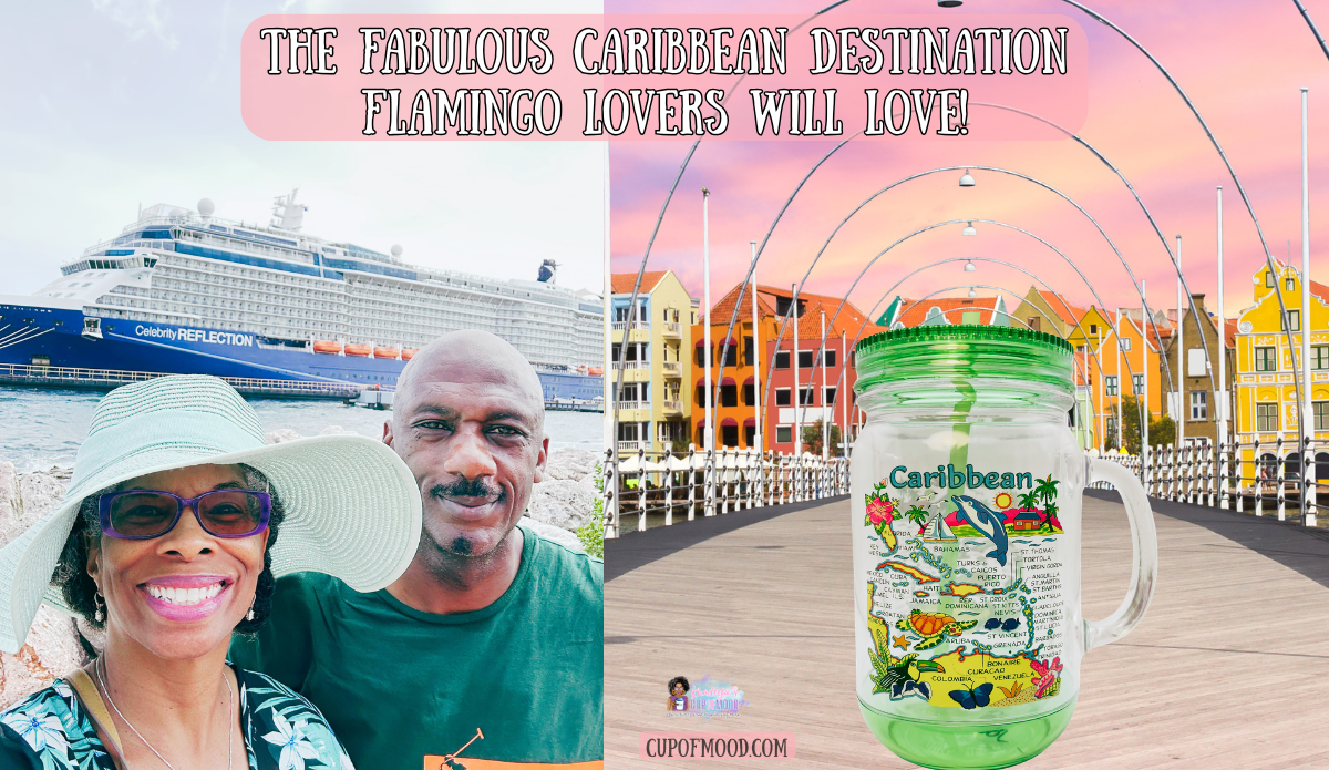 Curaçao cruise port photo with cruise ship, Queen Emma Bridge Willemstad, and Caribbean tumbler drinkware