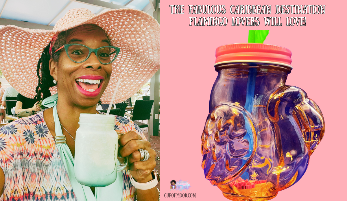 Curaçao Sea Aquarium day ending with tropical drink in mason jar and flamingo mason jar drinkware