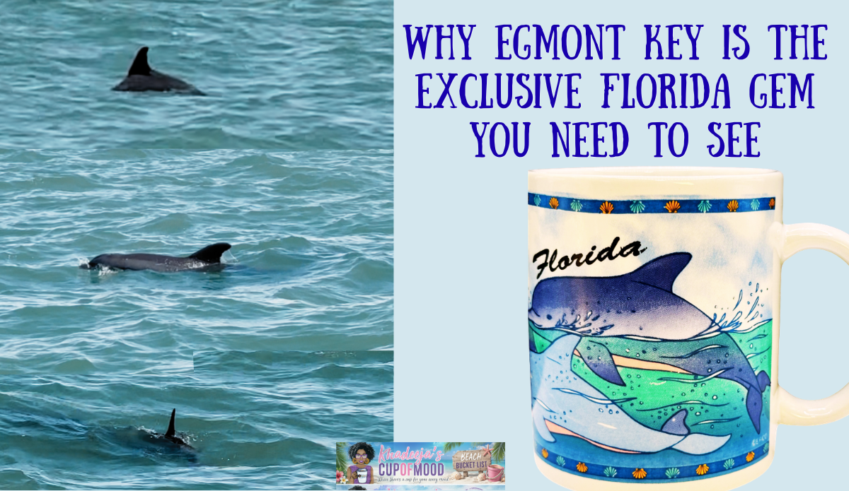 Dolphins swimming near the boat on the way to Egmont Key