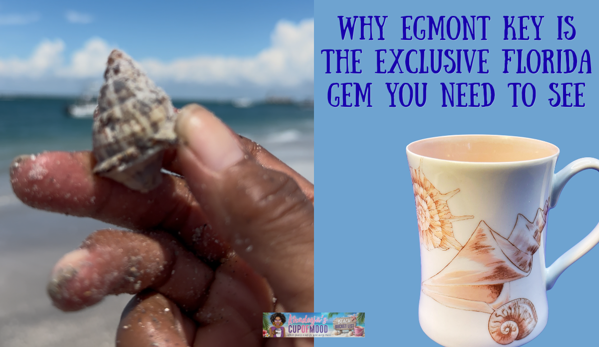 Small shell discovered while beachcombing at Egmont Key