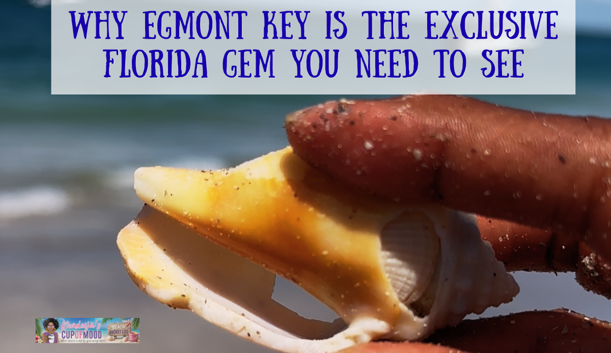 Partially broken Fighting Conch shell with a smaller shell inside found at Egmont Key