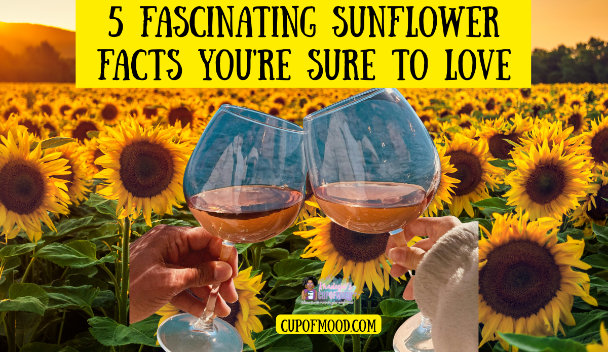 Two blue-tinted wine glasses raised in a joyful toast across a glowing field of sunflowers.