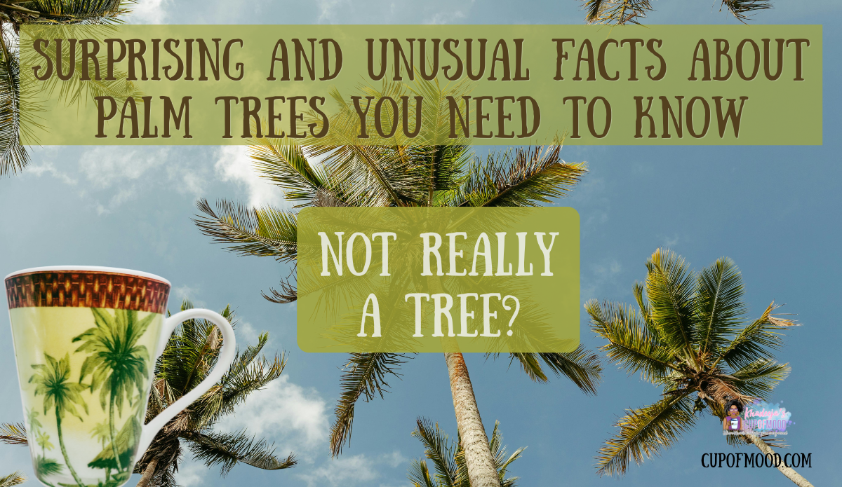 Palm tree mug illustrating the surprising fact that palm trees are not true trees