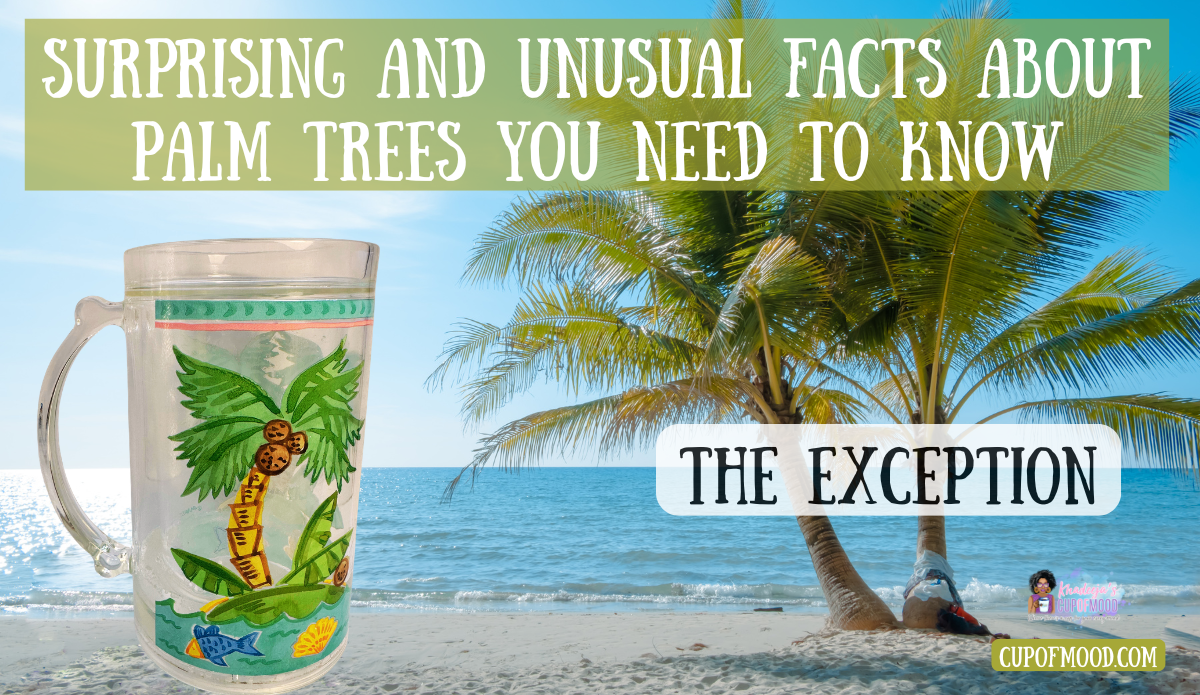 Tropical palm tree glass showing that most palm trees do not naturally grow on beaches