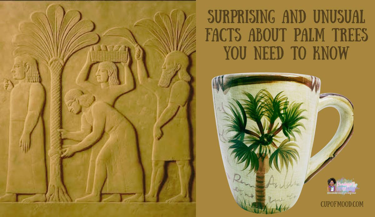 Ancient palm tree artwork with vintage palm tree mug showing palms throughout history