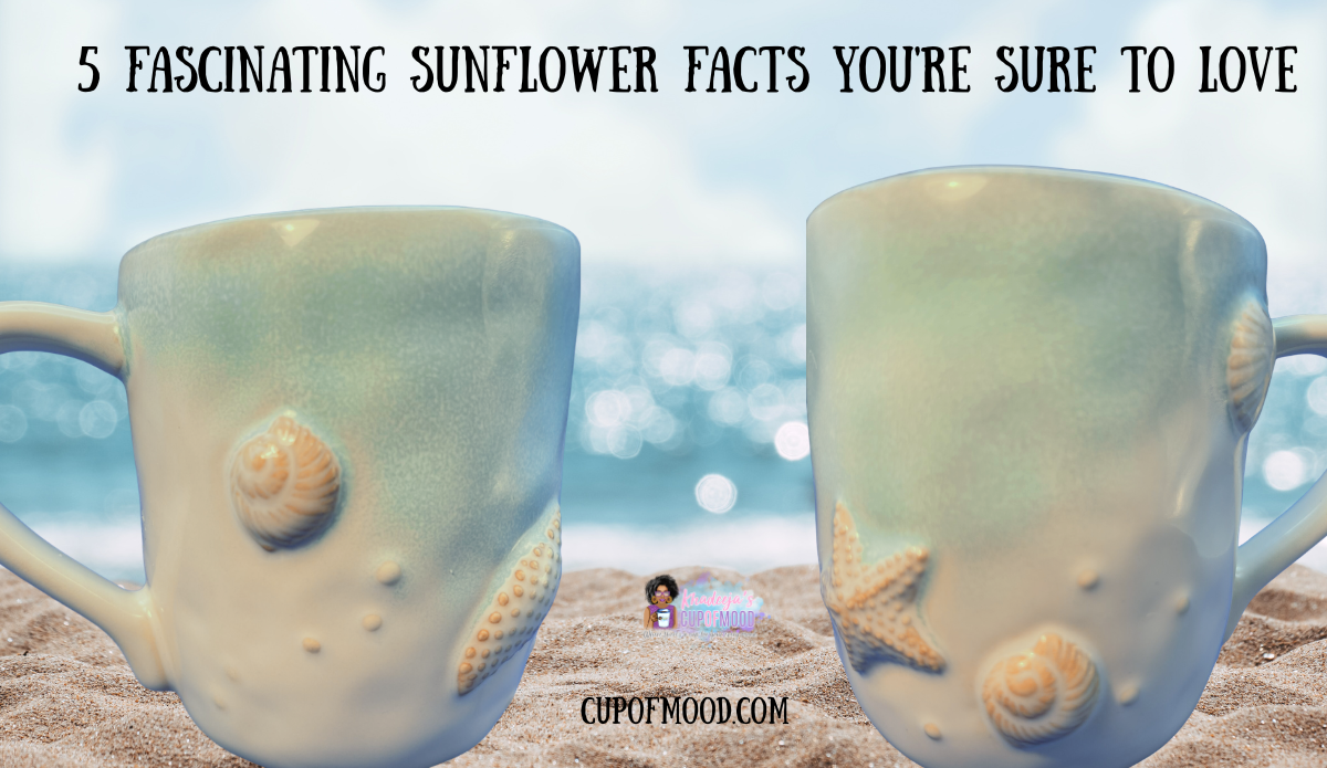 Two views of the 3D Sonoma Seaside Seashell Mug showing curled shells as a visual example of nature’s spirals.