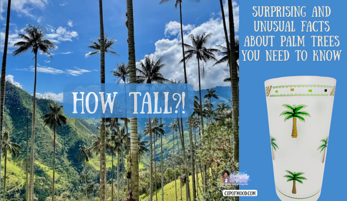 Quindío wax palms with tropical palm tree tumbler illustrating the world's tallest palm species