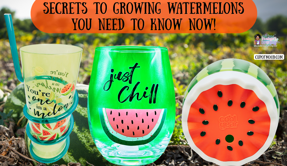 Secrets to growing watermelons image featuring a watermelon acrylic tumbler, stemless glass, and Cool Gear oversized water bottle.