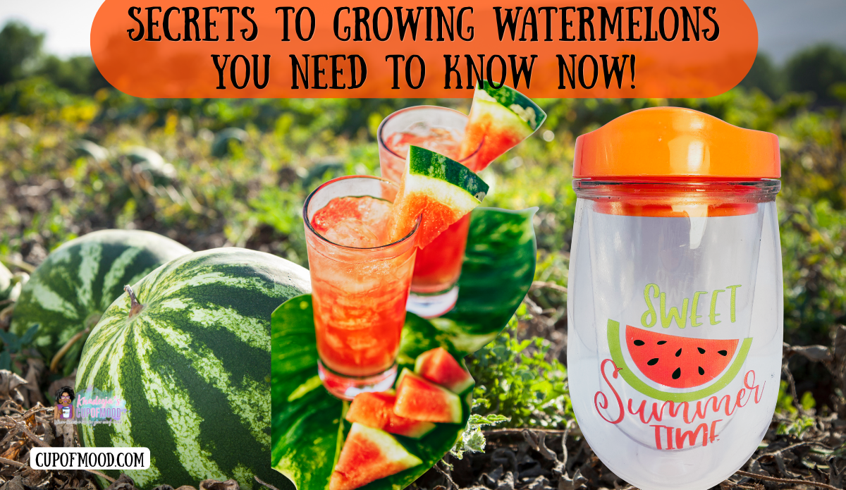 Secrets to growing watermelons final image featuring watermelon drinks, fresh fruit, and the Sweet Summer Time Watermelon Acrylic Wine Tumbler.