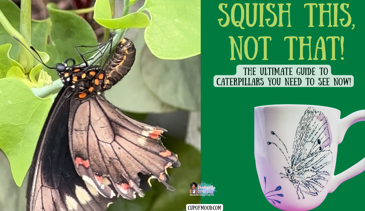 Black swallowtail butterfly laying eggs on a host plant beside a butterfly mug from the CupofMood Butterfly Collection