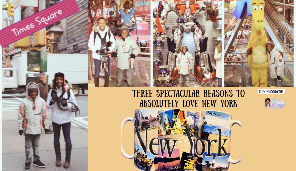 Family Christmas trip to Times Square and Toys R Us in New York with New York souvenir mugs