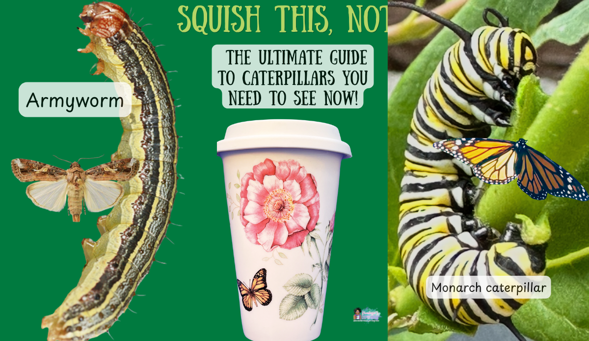 Armyworm compared with monarch caterpillar beside a floral butterfly travel cup, adult moth, and monarch butterfly