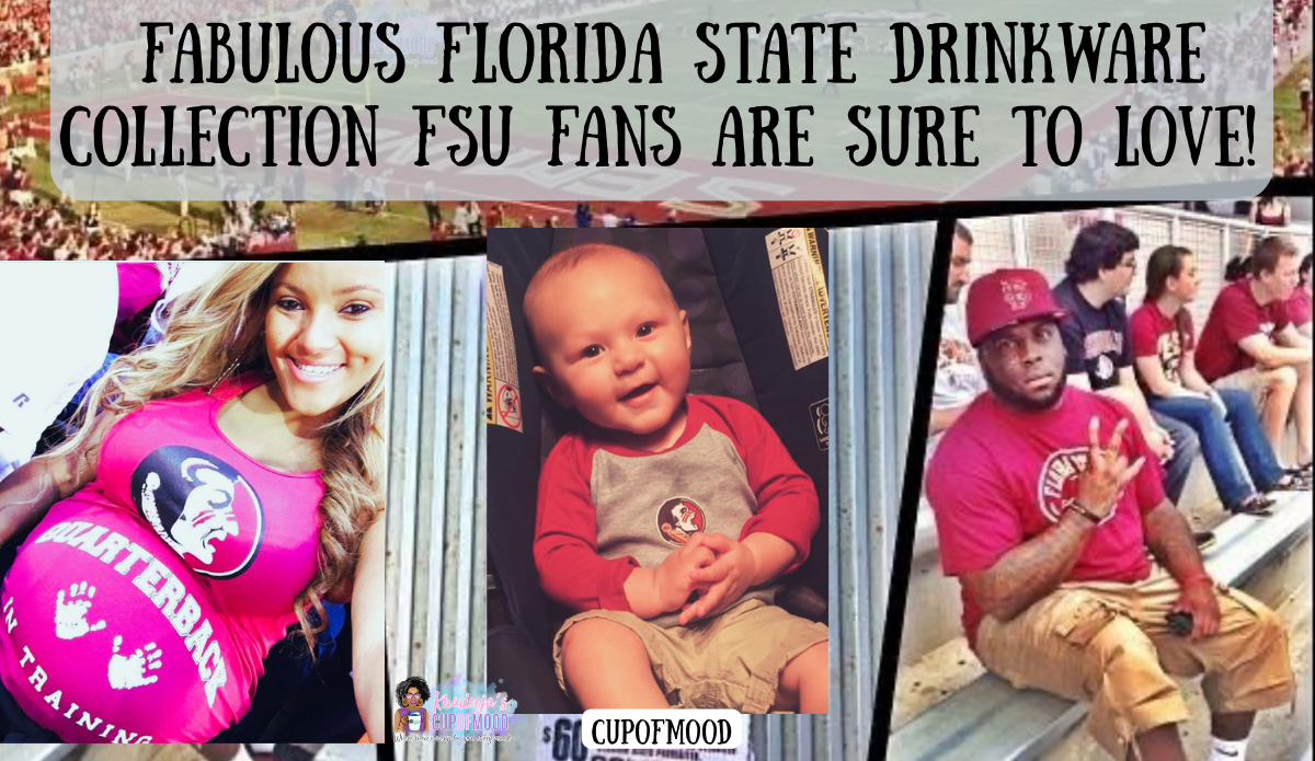 Hero collage for the Florida State drinkware blog featuring my grandson’s mother in Florida State apparel, my grandson as a baby in Florida State colors, and my son at a Florida State game beneath the blog title.