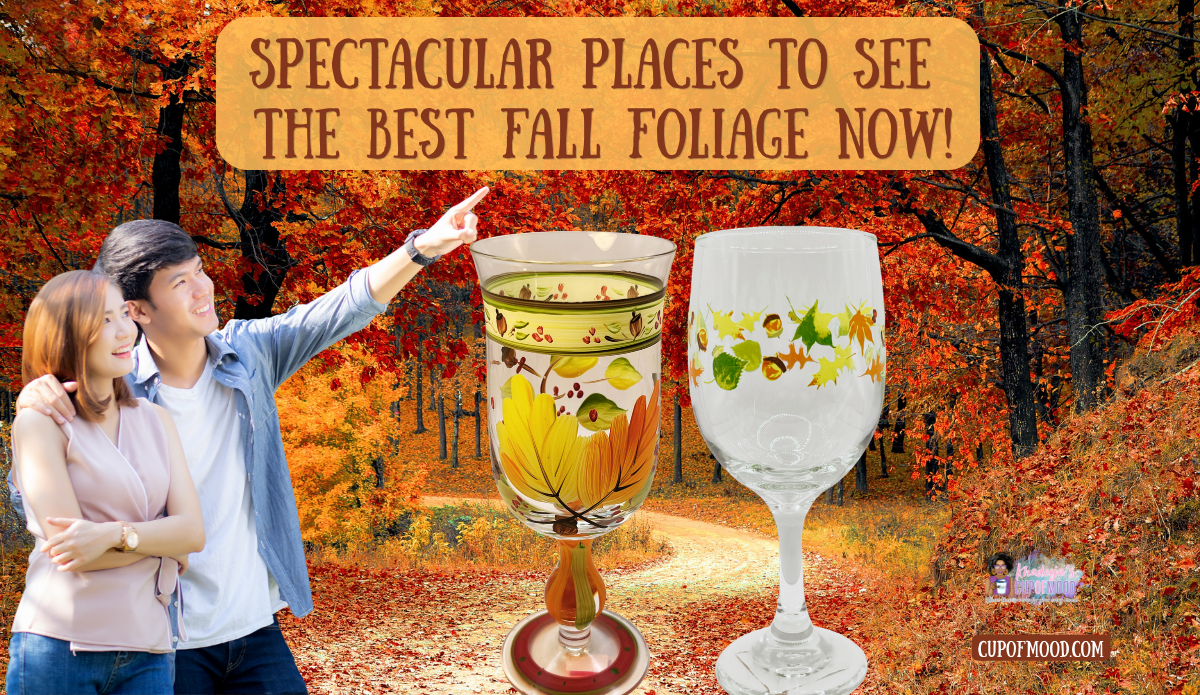 Best fall foliage with a couple sightseeing beside autumn themed drinking glasses in a colorful forest
