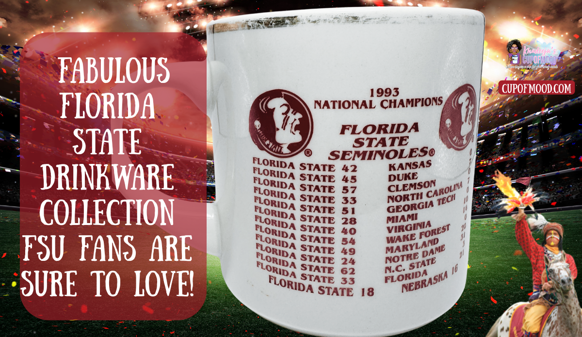 White Florida State mug featuring the 1993 National Champions schedule and scores shown against a stadium background with the blog title.