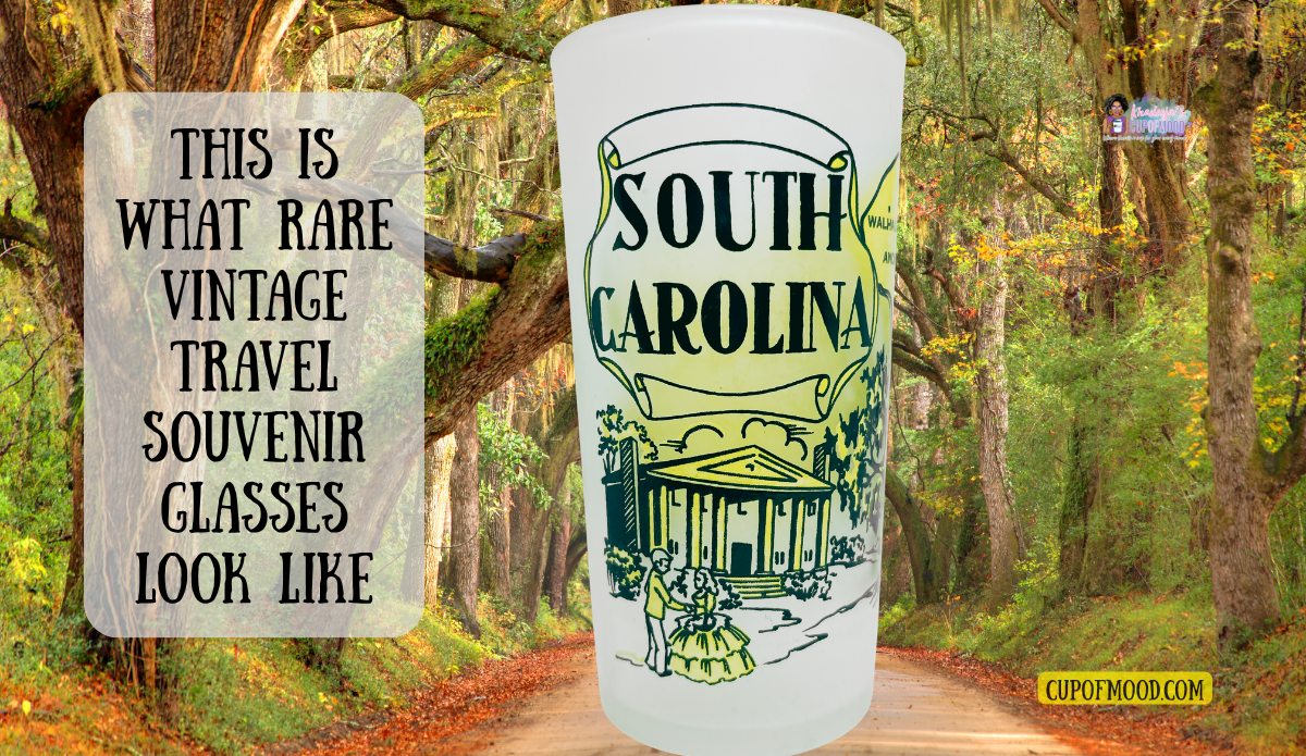 South Carolina vintage travel souvenir glass with yellow state artwork displayed along a tree-lined scenic road.