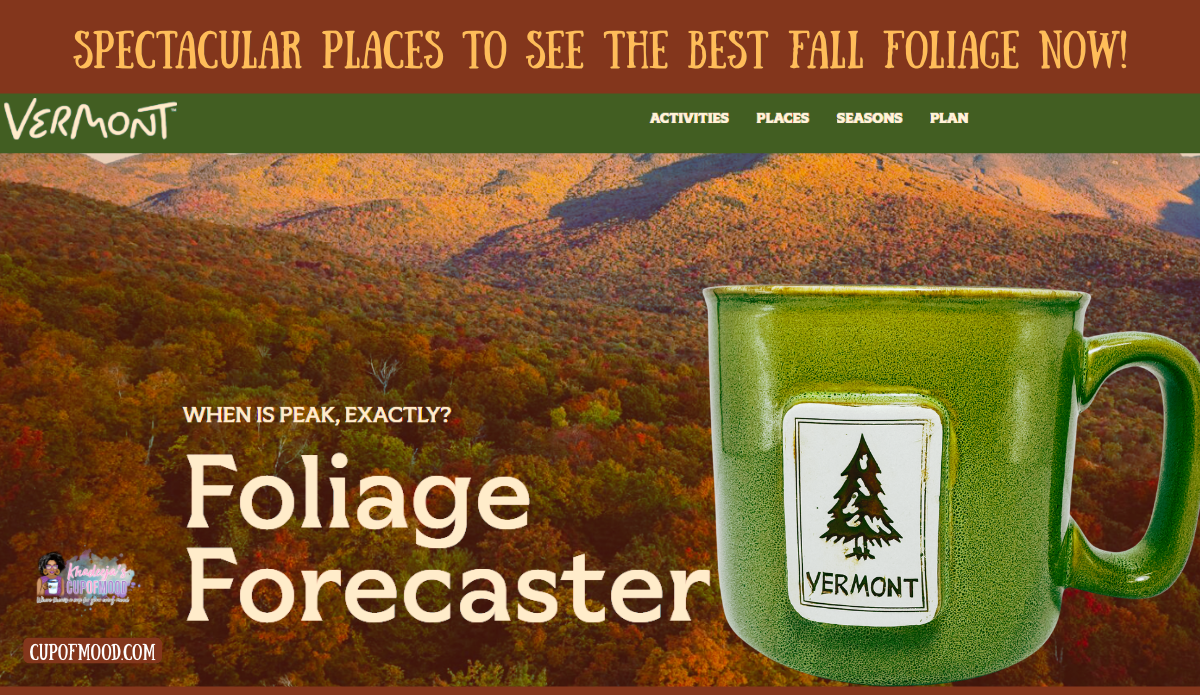 Vermont foliage forecaster with green Vermont mug against colorful mountain fall foliage