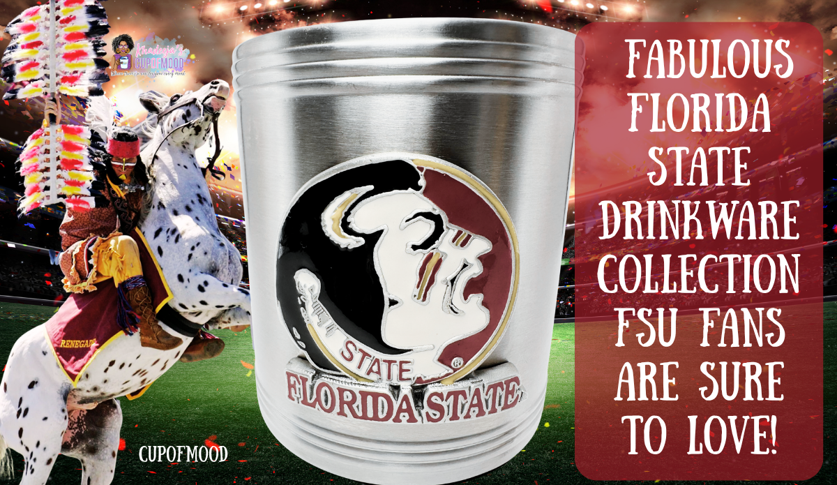 Florida State stainless steel can cooler with a raised Seminoles emblem shown against a stadium background with the blog title.