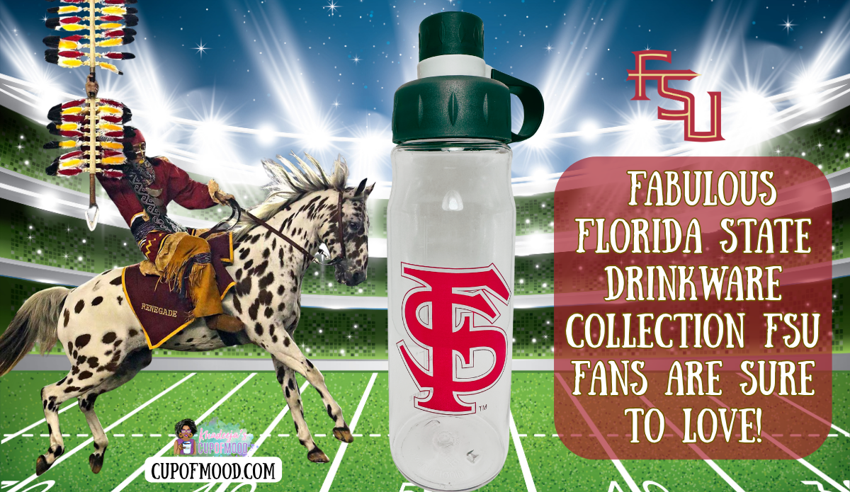 Clear Florida State sports water bottle with a red interlocking FS logo and black lid displayed on a football field background with the blog title.