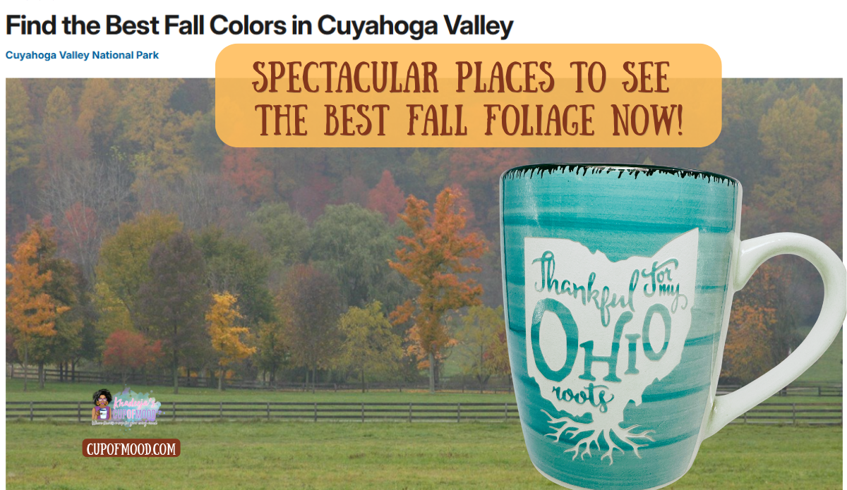 Hale Farm and Village fall foliage with Thankful for my Ohio roots mug in Cuyahoga Valley