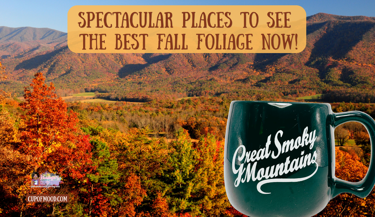Great Smoky Mountains fall foliage with green Great Smoky Mountains mug overlooking colorful mountain scenery