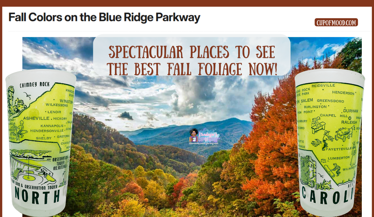 Blue Ridge Parkway fall colors with North Carolina souvenir mug shown from two sides