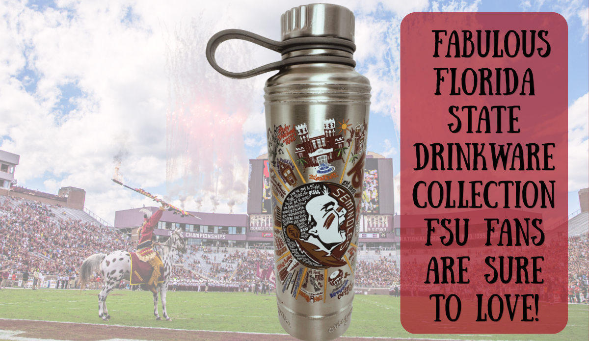 Stainless steel Florida State bottle with an illustrated campus-style design shown on a stadium background with the blog title.