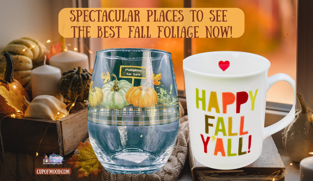 Fall drinkware with pumpkin drinking glass and Happy Fall Y'all mug in a cozy autumn setting