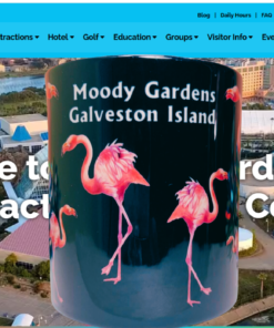 Moody Gardens flamingo mug with Galveston Island resort and pyramids in background