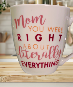 Pfaltzgraff Mom You Were Right Mug kitchen counter lifestyle image