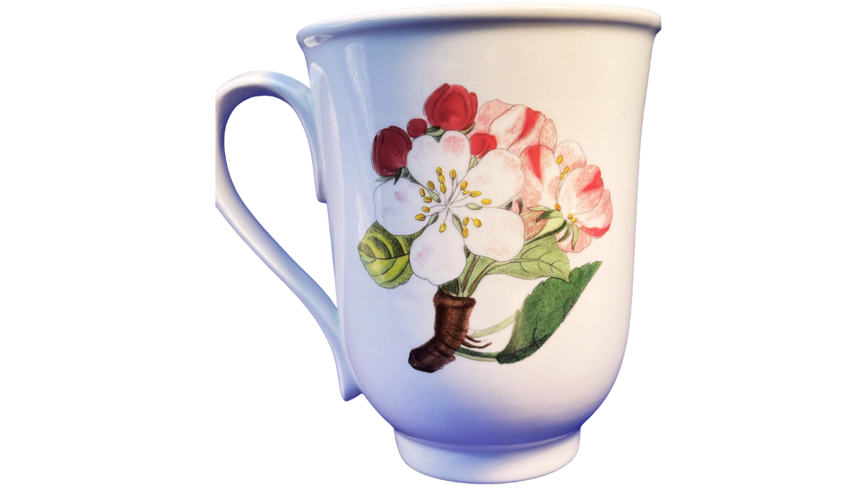 Back view of the Portmeirion Pomona plum mug with pink and white apple blossoms