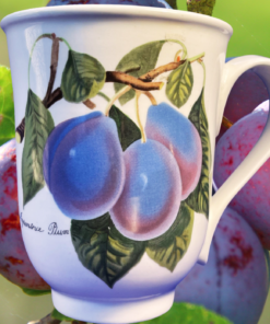 Portmeirion Pomona plum mug displayed against ripe purple plums growing on a tree