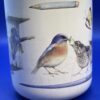 Nature's Sketchbook Marjolein Bastin Mug by Hallmark Nature's Sketchbook Bluebird Coffee Cup Mug for Bluebird Lovers Marjolein Bastin Coffee Cup - Image 3