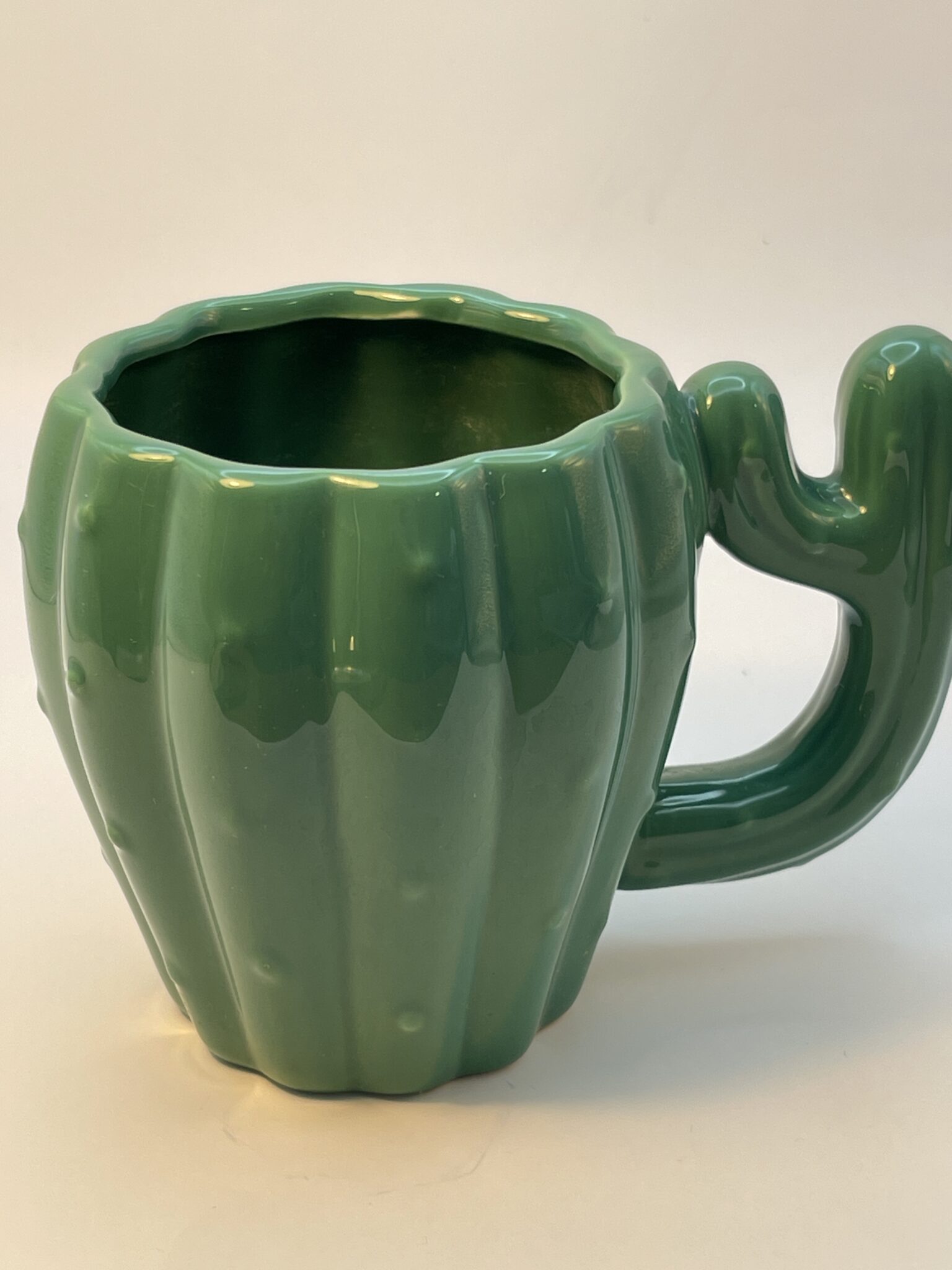 3D Cactus Mug - CupofMood