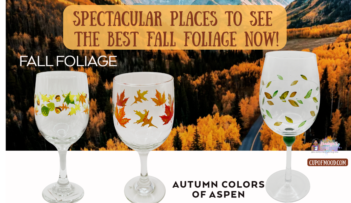 This curated CupofMood blog graphic features golden Aspen fall foliage, a winding mountain road, and three stemmed drinking glasses decorated with autumn leaves. The image also includes the blog title “Spectacular Places To See The Best Fall Foliage Now!” along with the phrases “Fall Foliage” and “Autumn Colors of Aspen,” making it a visual storytelling piece that connects scenic Colorado autumn color with seasonal drinkware.
