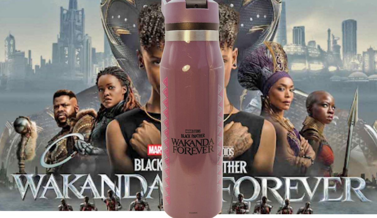 Black Panther Wakanda Forever Bottle displayed against a Wakanda Forever movie-inspired character scene