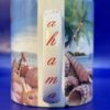 Bahamas Beach Shell Souvenir Mug from The Bahamas Souvenir Coffee Cup with Shells - Image 4