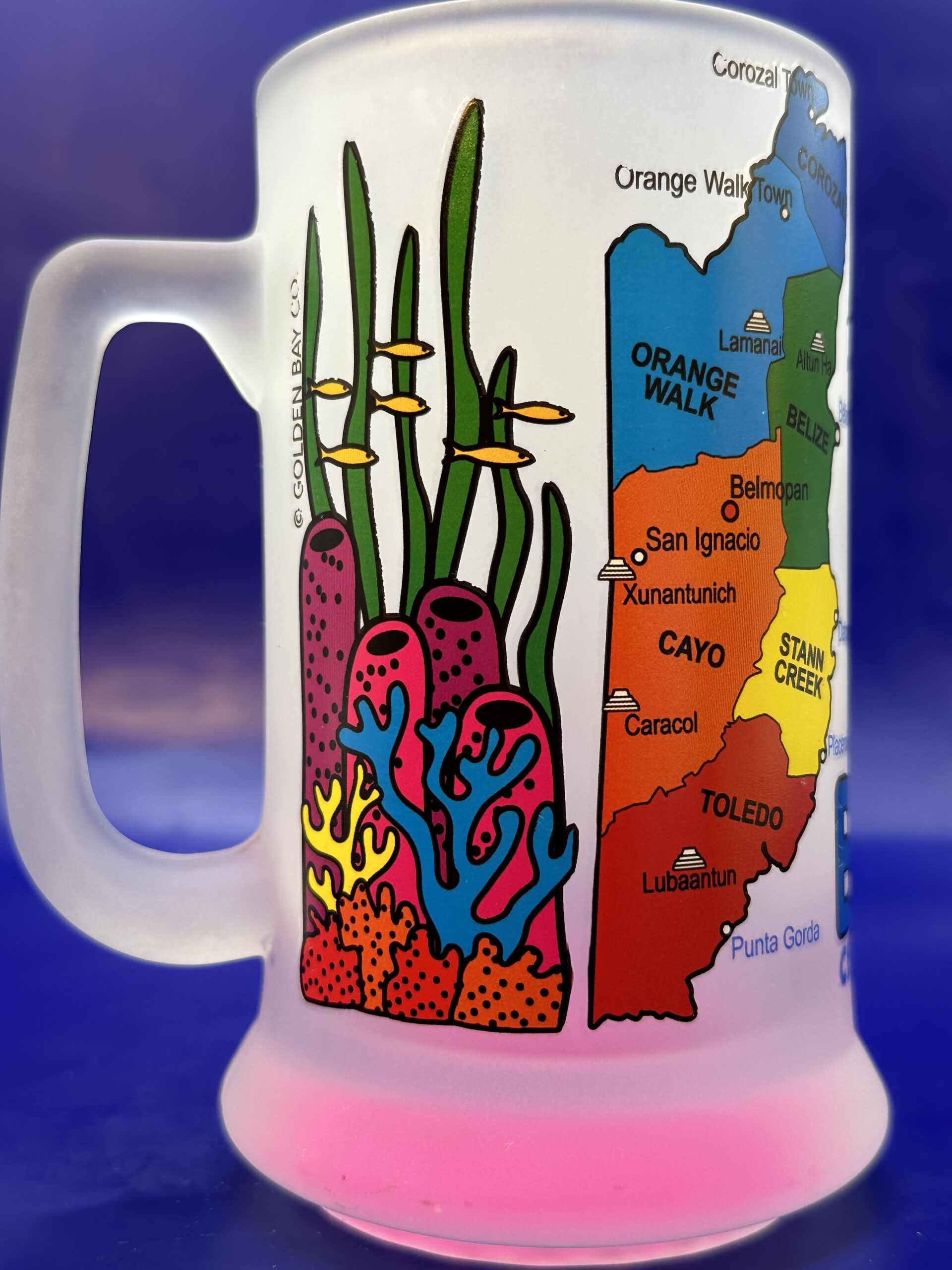 Belize Souvenir Beer Mug - CupofMood