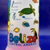 Belize Souvenir Beer Mug from Belize Central America Souvenir Coffee Cup Mug