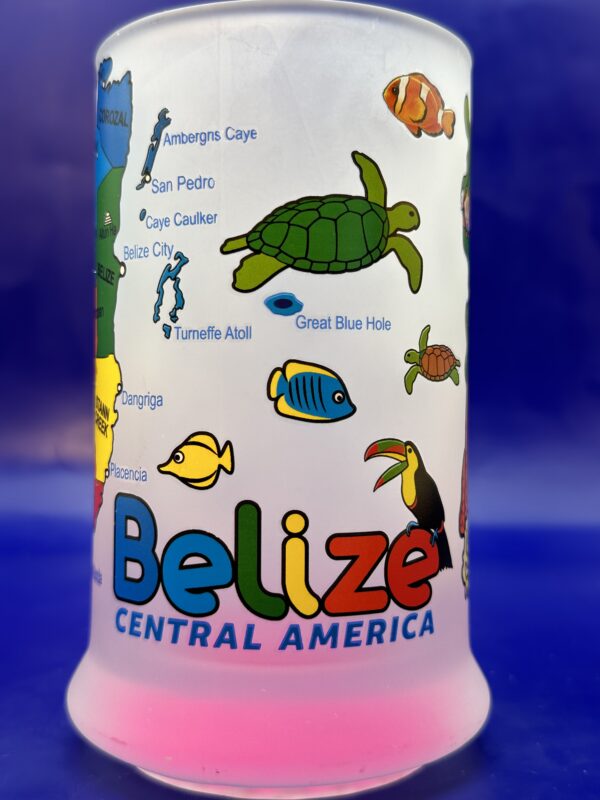 Magnete da frigorifero Belize, souvenir da viaggio, decorazione 3D