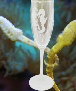 Embossed Seahorse Champagne Flute displayed in underwater scene with white and yellow seahorses
