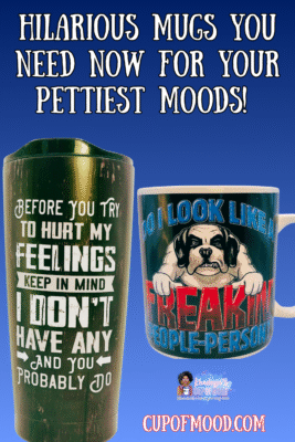 Hilarious Mugs for Petty People – CupofMood Funny Collection