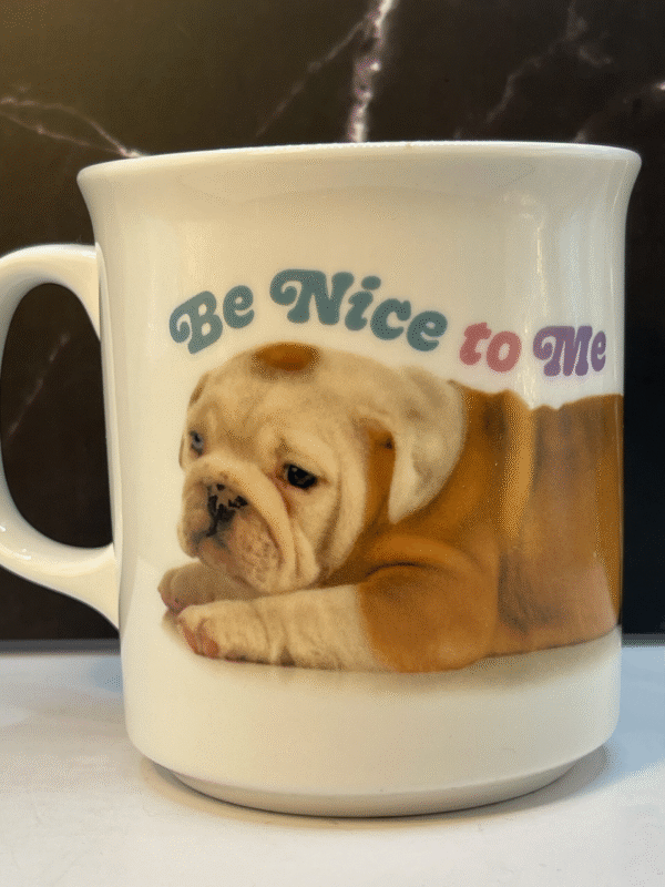 Start your day with a smile with the Be Nice Me Dog Mug from the Cute Animals Collection. It’s the perfect #cupofmood to make every morning a fun affair!